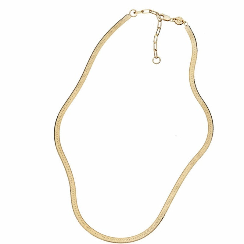 NWT Jennifer Zeuner Chain Necklace